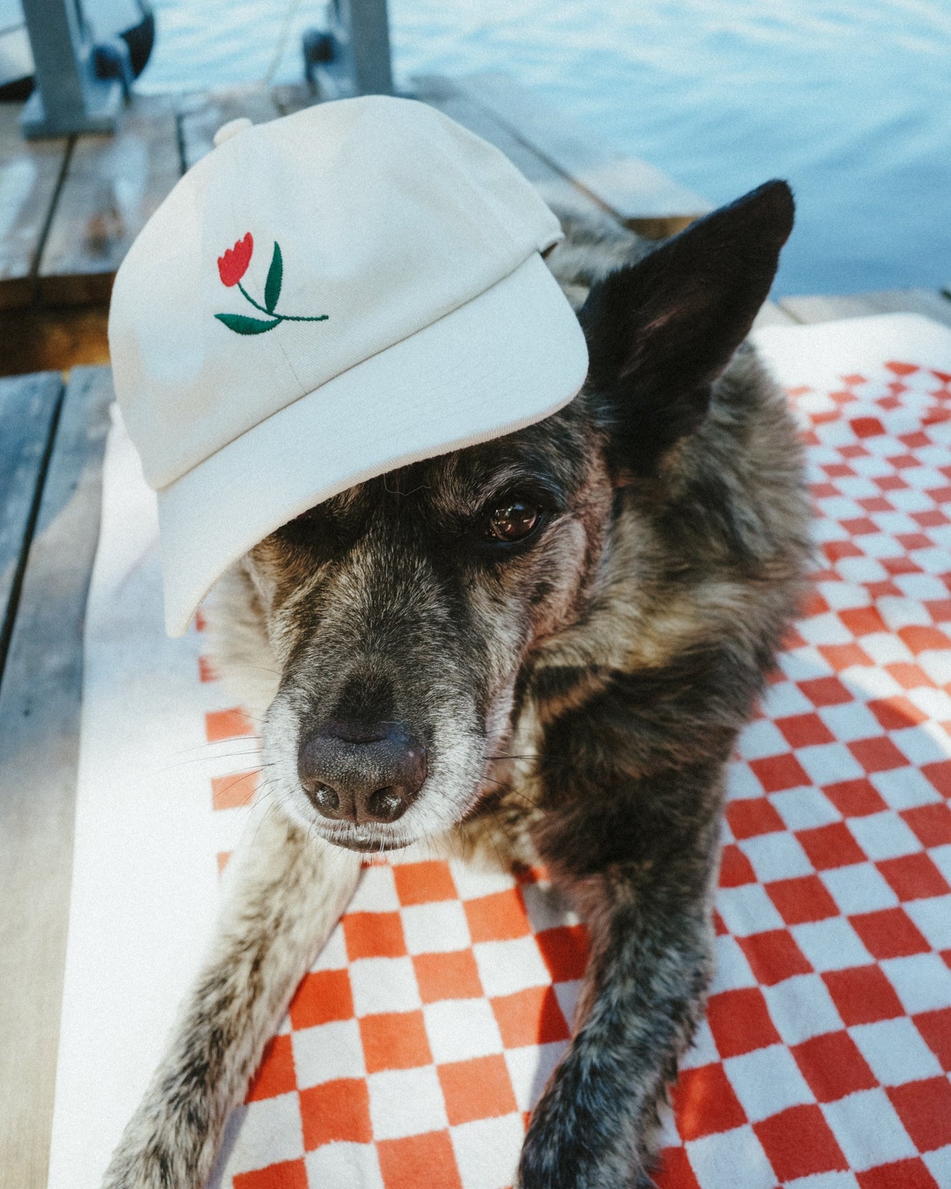 Tulip Hat